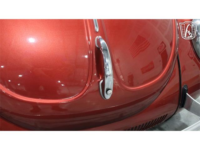 1971 Volkswagen Beetle (CC-2099997) for sale in Runnemede, New Jersey