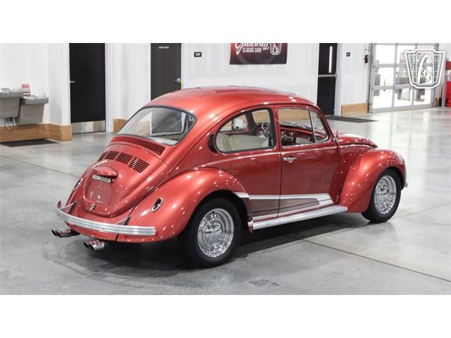 1971 Volkswagen Beetle (CC-2099997) for sale in Runnemede, New Jersey