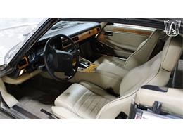 1991 Jaguar XJS (CC-2101065) for sale in Tulsa, Oklahoma