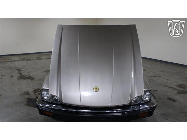 1991 Jaguar XJS (CC-2101065) for sale in Tulsa, Oklahoma
