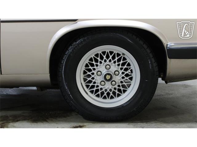 1991 Jaguar XJS (CC-2101065) for sale in Tulsa, Oklahoma