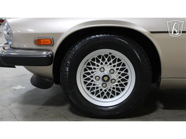 1991 Jaguar XJS (CC-2101065) for sale in Tulsa, Oklahoma