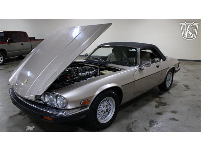 1991 Jaguar XJS (CC-2101065) for sale in Tulsa, Oklahoma