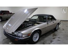 1991 Jaguar XJS (CC-2101065) for sale in Tulsa, Oklahoma
