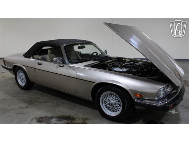 1991 Jaguar XJS (CC-2101065) for sale in Tulsa, Oklahoma