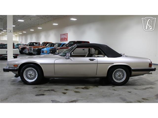 1991 Jaguar XJS (CC-2101065) for sale in Tulsa, Oklahoma