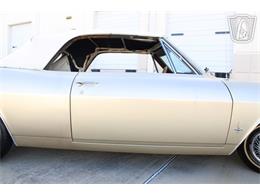 1965 Chevrolet Corvair (CC-2101091) for sale in Houston, Texas