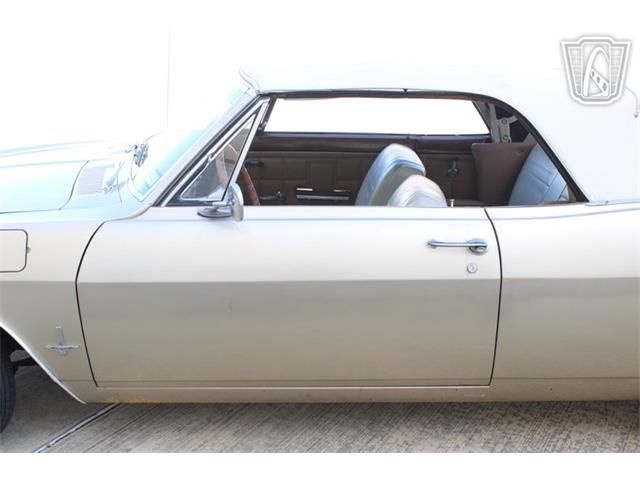 1965 Chevrolet Corvair (CC-2101091) for sale in Houston, Texas