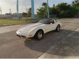 1979 Chevrolet Corvette (CC-2101104) for sale in Cadillac, Michigan
