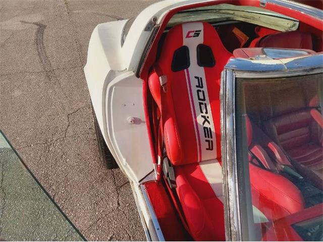 1979 Chevrolet Corvette (CC-2101104) for sale in Cadillac, Michigan