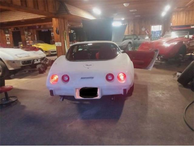 1979 Chevrolet Corvette (CC-2101104) for sale in Cadillac, Michigan