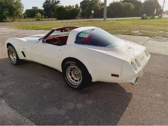 1979 Chevrolet Corvette (CC-2101104) for sale in Cadillac, Michigan
