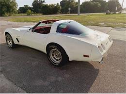1979 Chevrolet Corvette (CC-2101104) for sale in Cadillac, Michigan