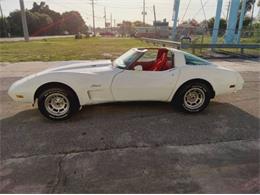 1979 Chevrolet Corvette (CC-2101104) for sale in Cadillac, Michigan