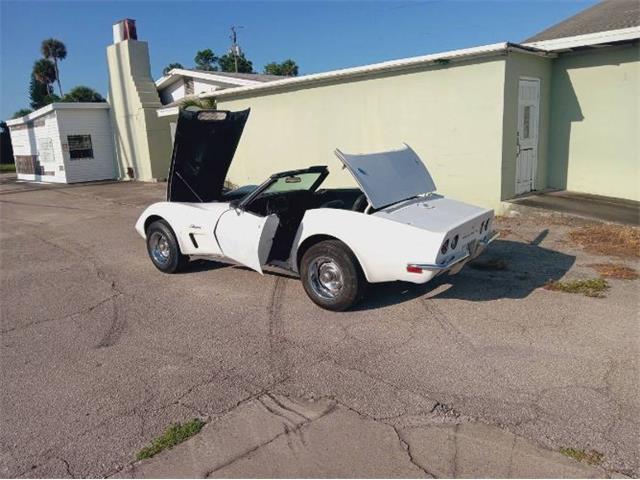 1973 Chevrolet Corvette (CC-2101113) for sale in Cadillac, Michigan