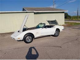 1973 Chevrolet Corvette (CC-2101113) for sale in Cadillac, Michigan