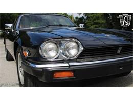 1985 Jaguar XJS (CC-2101117) for sale in Lake Mary, Florida