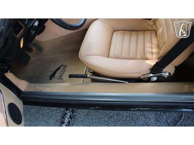 1985 Jaguar XJS (CC-2101117) for sale in Lake Mary, Florida