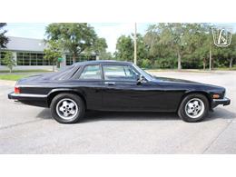 1985 Jaguar XJS (CC-2101117) for sale in Lake Mary, Florida