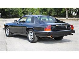 1985 Jaguar XJS (CC-2101117) for sale in Lake Mary, Florida
