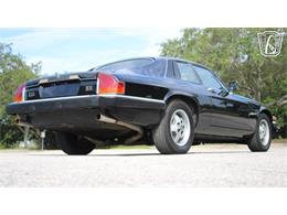 1985 Jaguar XJS (CC-2101117) for sale in Lake Mary, Florida