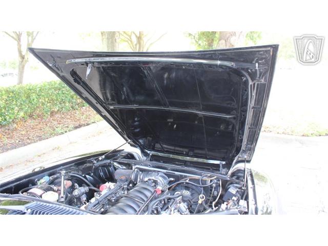 1985 Jaguar XJS (CC-2101117) for sale in Lake Mary, Florida