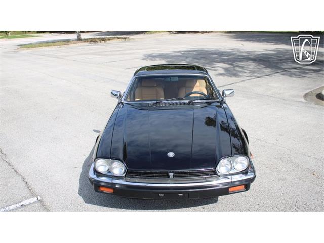1985 Jaguar XJS (CC-2101117) for sale in Lake Mary, Florida
