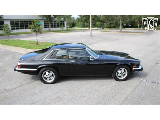 1985 Jaguar XJS (CC-2101117) for sale in Lake Mary, Florida
