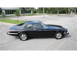 1985 Jaguar XJS (CC-2101117) for sale in Lake Mary, Florida