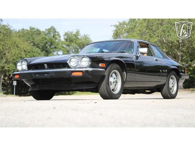 1985 Jaguar XJS (CC-2101117) for sale in Lake Mary, Florida