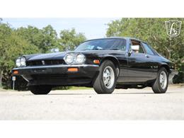 1985 Jaguar XJS (CC-2101117) for sale in Lake Mary, Florida