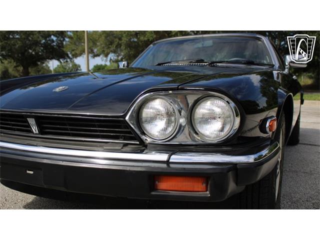 1985 Jaguar XJS (CC-2101117) for sale in Lake Mary, Florida