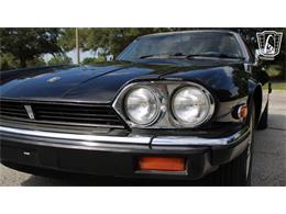 1985 Jaguar XJS (CC-2101117) for sale in Lake Mary, Florida