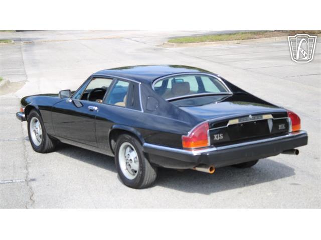 1985 Jaguar XJS (CC-2101117) for sale in Lake Mary, Florida