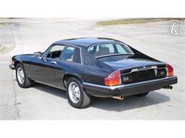 1985 Jaguar XJS (CC-2101117) for sale in Lake Mary, Florida