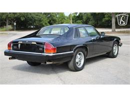 1985 Jaguar XJS (CC-2101117) for sale in Lake Mary, Florida