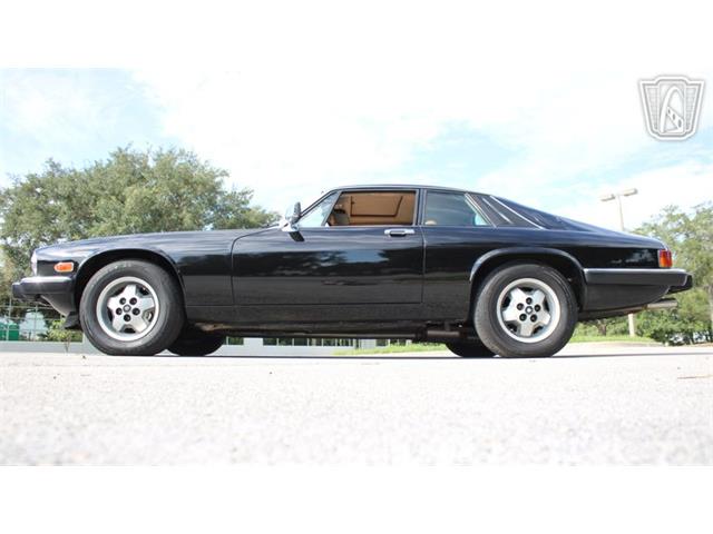 1985 Jaguar XJS (CC-2101117) for sale in Lake Mary, Florida