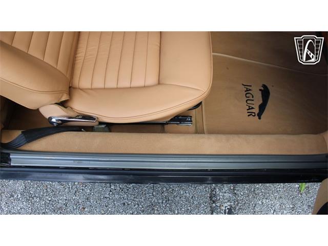 1985 Jaguar XJS (CC-2101117) for sale in Lake Mary, Florida