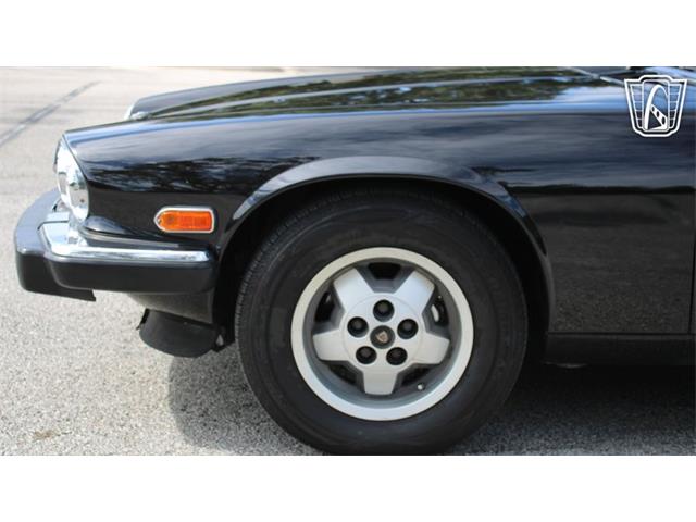 1985 Jaguar XJS (CC-2101117) for sale in Lake Mary, Florida