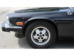 1985 Jaguar XJS (CC-2101117) for sale in Lake Mary, Florida