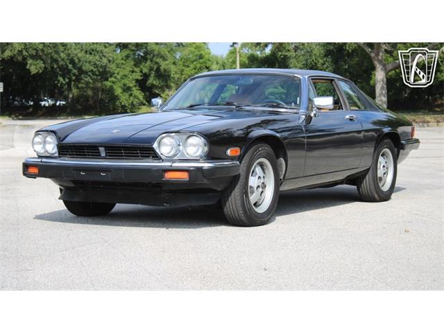 1985 Jaguar XJS (CC-2101117) for sale in Lake Mary, Florida