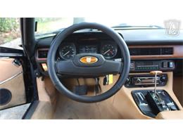 1985 Jaguar XJS (CC-2101117) for sale in Lake Mary, Florida