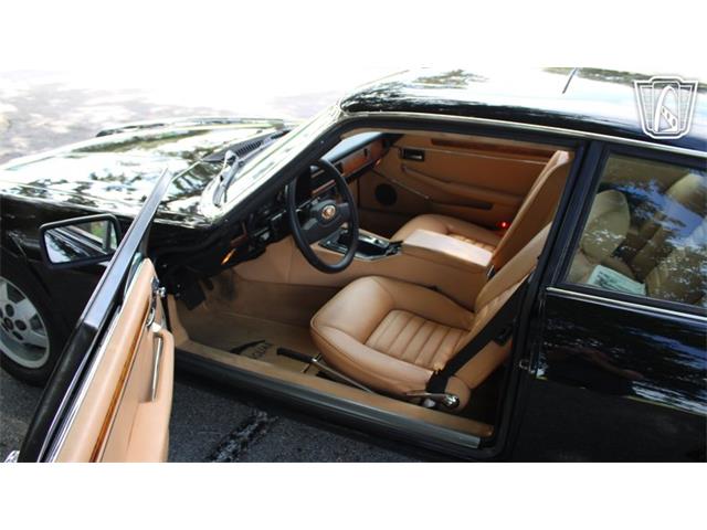 1985 Jaguar XJS (CC-2101117) for sale in Lake Mary, Florida