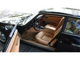 1985 Jaguar XJS (CC-2101117) for sale in Lake Mary, Florida