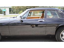 1985 Jaguar XJS (CC-2101117) for sale in Lake Mary, Florida
