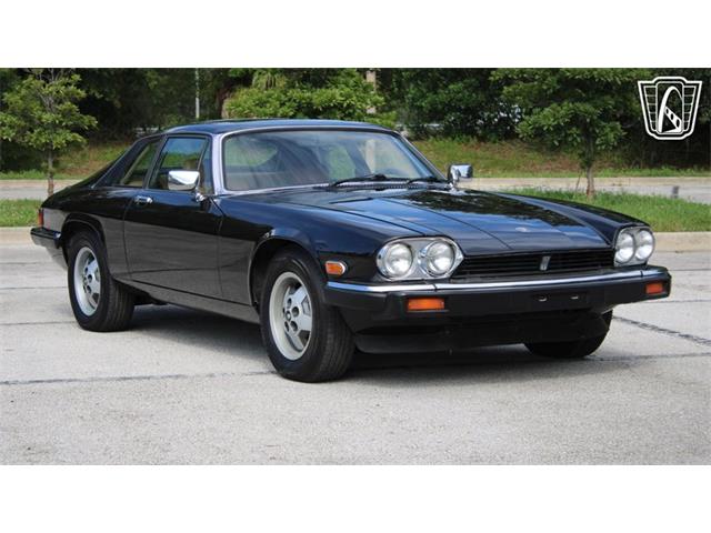 1985 Jaguar XJS (CC-2101117) for sale in Lake Mary, Florida