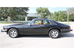 1985 Jaguar XJS (CC-2101117) for sale in Lake Mary, Florida