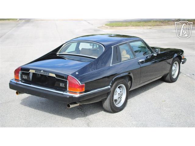 1985 Jaguar XJS (CC-2101117) for sale in Lake Mary, Florida