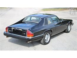 1985 Jaguar XJS (CC-2101117) for sale in Lake Mary, Florida