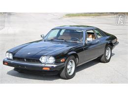 1985 Jaguar XJS (CC-2101117) for sale in Lake Mary, Florida